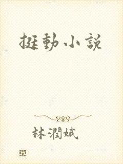 挺动小说