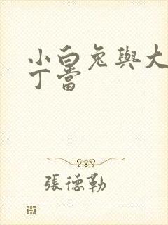 小白兔与大灰狼丁当