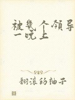 被几个领导玩弄一晚上