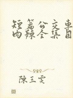 短篇公交车高h肉辣全集目录