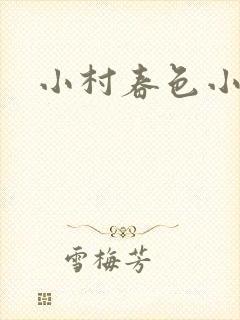 小村春色小说