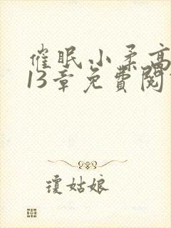 催眠小柔高达第13章免费阅读