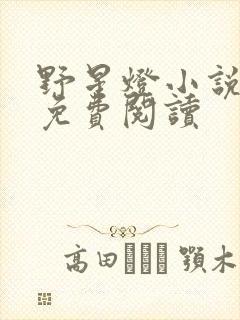 野星灯小说全文免费阅读