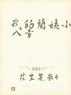 我的兰姨小说第八章