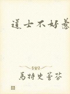 道士不好惹小说