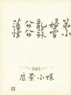 荡公乱妇第1章情公苏雪小说