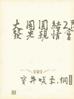 大团圆结2闪闪发光亲情会