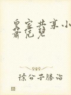 皇家共享小公主萧凭儿