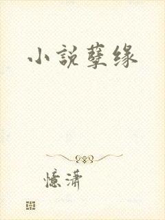 小说孽缘
