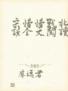 宋惜惜战北望小说全文阅读