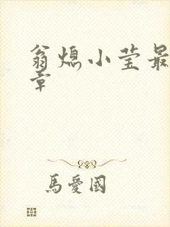 翁熄小莹最新节章