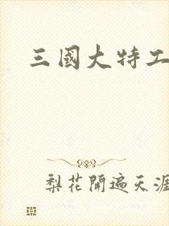 三国大特工