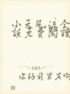 小天风流全集小说免费阅读