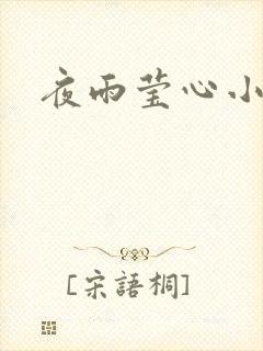 夜雨莹心小说