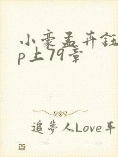 小豪孟卉钰慧三p上79章