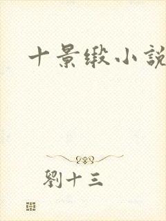十景缎小说