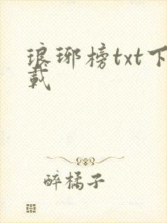 琅琊榜txt下载