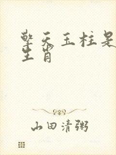 擎天玉柱是什么生肖