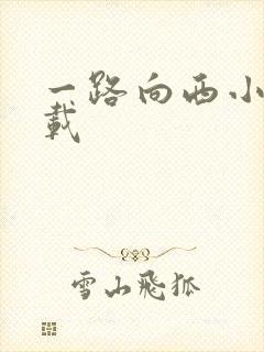 一路向西小说下载