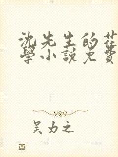 沈先生的花式教学小说免费