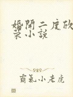 婚开二度欣欣向荣小说