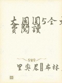 大团圆5全文免费阅读