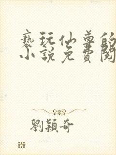 亵玩仙尊的道侣小说免费阅读