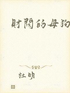 财阀的母狗们