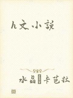 h文小说