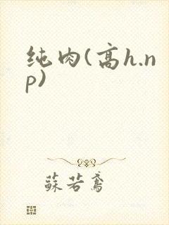纯肉(高h.np)