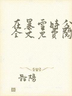 在暴雪时分小说全文免费阅读