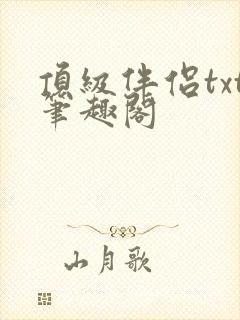 顶级伴侣txt笔趣阁