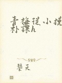 青梅从小摸到大补课h