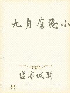 九月鹰飞小说