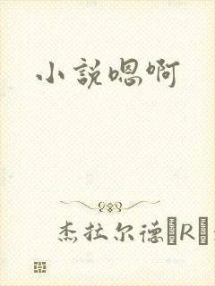 小说嗯啊