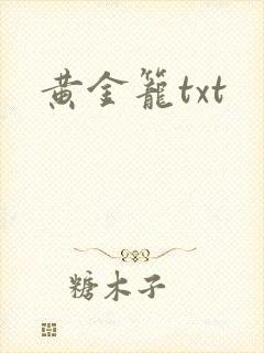 黄金笼txt