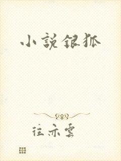 小说银狐