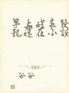 早上醒来发现巨龙还在小说