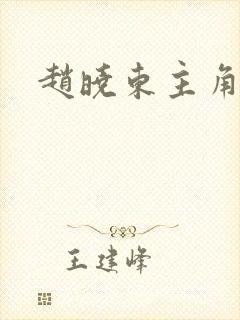 赵晓东主角小说