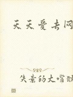 天天爱去网