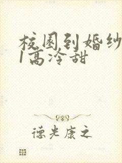 校园到婚纱1V1高冷甜