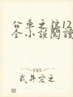 公车之狼12集全小说阅读
