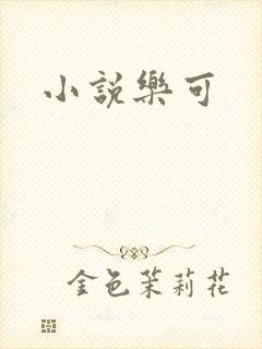 小说乐可