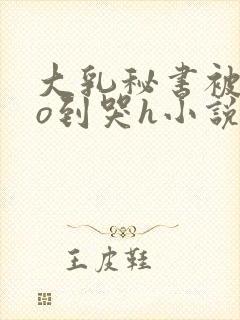 大乳秘书被cao到哭h小说