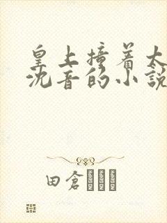 皇上撞着太子妃沈音的小说叫什么