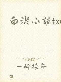 白洁小说txt