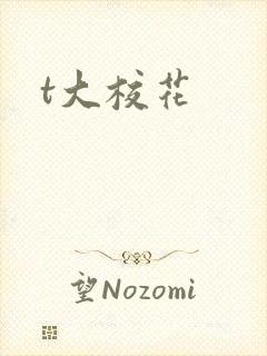 t大校花
