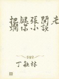 把腿张开老子臊烂你小说