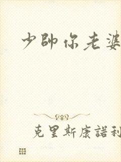 少帅你老婆