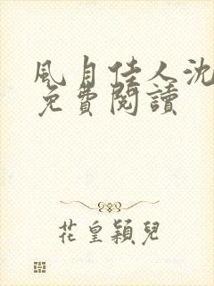 风月佳人沈修延免费阅读